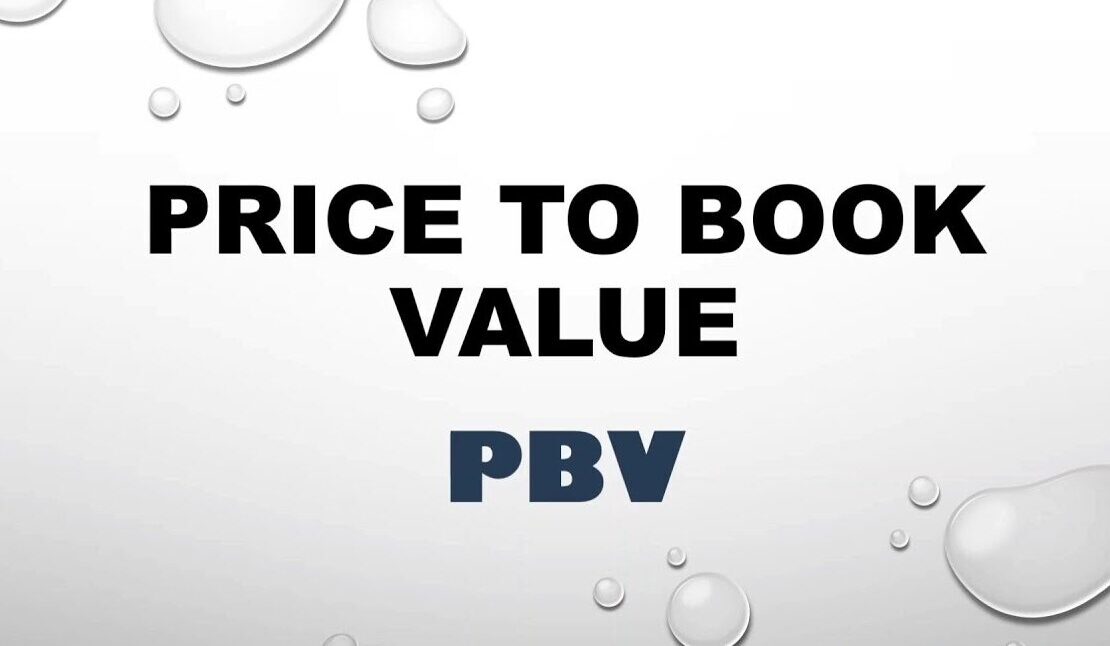 Price to Book Value (PBV)